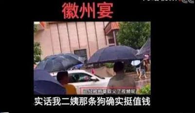 央视还原“徽州宴”事件全过程始末介绍  蚌埠徽州宴老板娘叫什么名字个人资料简介