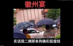 央视还原“徽州宴”事件全过程始末介绍  蚌埠徽州宴老板娘叫什么名字个人资料简介