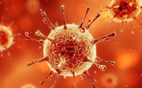 7月31日银川疫情最新数据公布   银川新增1例本土确诊病例