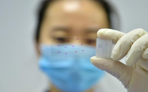 8月21日扬州疫情核酸检测最新通告   扬州疫情状况今日数据阳性多少？