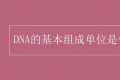 DNA的基本组成单位 基因科普知识