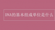 DNA的基本组成单位 基因科普知识