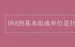 DNA的基本组成单位 基因科普知识