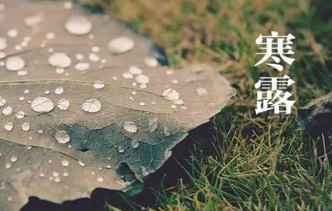 2021寒露节气应该吃什么传统食物？一场秋雨一场寒的祝福语朋友圈文案说说