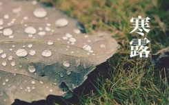 2021寒露节气应该吃什么传统食物？一场秋雨一场寒的祝福语朋友圈文案说说