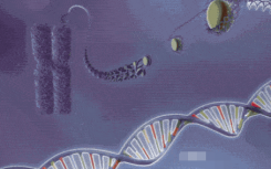 2021基因检测概念股龙头股有哪些？附基因检测板块概念股最新一览表
