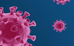 进出长沙最新规定需要核酸检测吗?现在去长沙需要准备什么