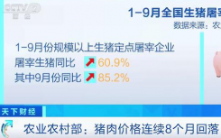 猪肉价格连续8个月回落的原因是什么?猪肉价格为什么下降这么厉害?还会涨吗