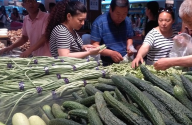 蔬菜价格怎么样涨价的原因是什么？10月蔬菜价格为什么上涨？