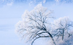 什么叫数九天具体是哪一天?数九天什么时候最冷