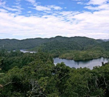 哀牢山在云南的什么地方藏着怎么样的风险？真实的哀牢山到底有多凶险?为何专业人员也会失联？