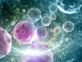 干细胞可以治疗什么病？干细胞治疗真是万能的吗?