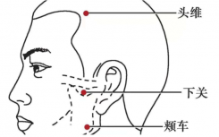 人身上到底有多少个穴位?穴位能随便按吗对身体有什么好处