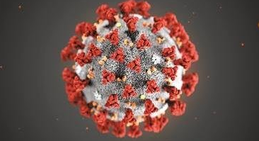 新冠疫情预计什么时候能结束？疫情在2022年会结束吗