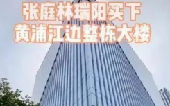 陶虹为什么退出张庭公司原因  张庭在浦东买的哪座大厦？ 张庭会判刑吗？