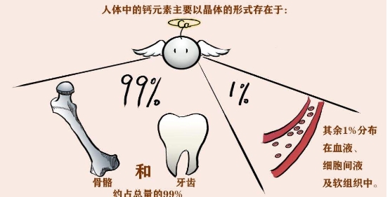 这些钙的知识，你了解吗？与爱提力一起学习钙知识！