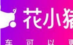 花小猪和滴滴是一个平台的吗什么关系？花小猪和滴滴可以同时开着接单吗?