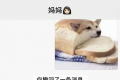 面包狗是什么意思什么梗？面包狗梗含义表情包一览