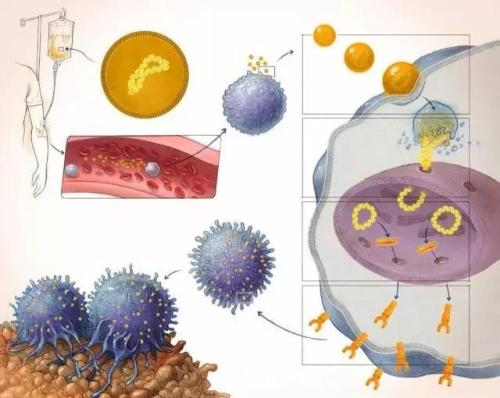 赛多利斯在2019年举办的第三届Research Xchange论坛 聚焦CAR-T细胞疗法